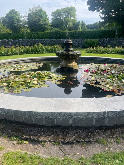 The image depicts a circular fountain filled with water and adorned with numerous lily pads. Several water lilies are in bloom, displaying a mix of pink and white petals. A stone fountain structure stands in the center of the pond, with water cascading from its top. The fountain is surrounded by a circular stone border. Beyond the fountain, a lush green lawn stretches out, bordered by a low stone wall. Behind the wall, a row of rose bushes with pink blossoms can be seen, interspersed with greenery. The background is filled with dense foliage and mature trees under a partly cloudy sky. The scene is situated within the grounds of Ardgillan Castle, Ireland, likely in its formal gardens.