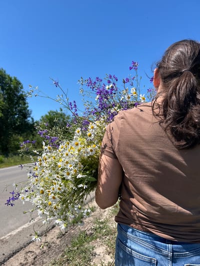 A person, seen from behind, holds a large bouquet of wildflowers. The bouquet is a mix of white daisies with yellow centers and small purple flowers. The person is wearing a brown t-shirt and blue jeans. The scene appears to be outdoors on a sunny day, with a clear blue sky dominating the background. Lush green trees are visible in the distance, suggesting a rural or natural setting. The ground is a mix of dirt and a paved surface, possibly a road or pathway, with some dry grass and vegetation. The image is oriented vertically, with the top of the person's head and the sky at the top of the frame. There is no visible text. The overall mood is peaceful and serene, capturing a moment of enjoyment of nature.