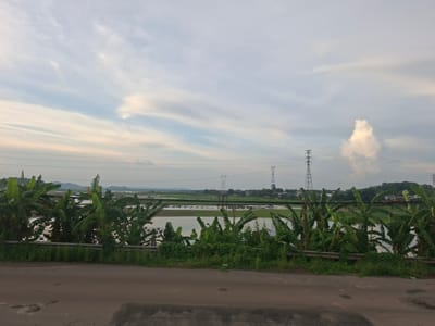 The image depicts a wide shot of a rural landscape in Dong Nai City, Vietnam, under a cloudy sky with streaks of light. In the foreground, a grey asphalt road with a slight crack is visible. Behind the road, a dense line of lush green banana trees and other vegetation forms a natural barrier. Beyond the trees, a body of water, likely a flooded field or aquaculture farm, stretches into the distance, dotted with numerous floating structures or enclosures. In the middle ground, two tall electrical towers with power lines crisscrossing the sky are prominent. Further in the background, rolling green hills and a small cluster of buildings suggest a village or town. The overall scene conveys a sense of a serene, agricultural environment, possibly during or after a rainy season given the flooded landscape.