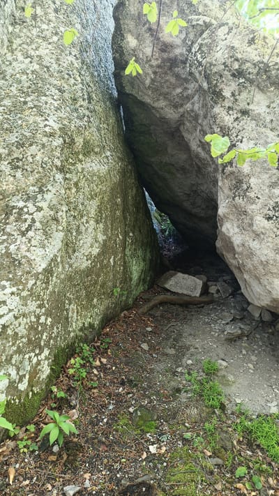 The image shows a narrow passage between two large, moss-covered boulders. The passage is located on the ground, with a mixture of leaves, twigs, and small plants covering the ground. The gap between the boulders leads to a darker interior space, possibly a small cave or tunnel. The location is likely in a natural area of Sini Vrah, Bulgaria, characterized by rock formations and vegetation. No people or actions are visible in the image.