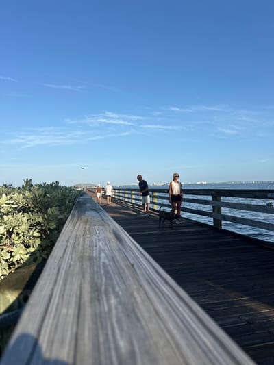 This is a vertically oriented photograph taken on a sunny day in Melbourne Beach, USA. The scene depicts a wooden boardwalk adjacent to a body of water, likely the ocean given the location. In the foreground, a weathered wooden railing runs diagonally across the frame, providing a sense of depth. Beyond the railing, a dense green shrubbery lines the edge of the boardwalk.

Several people are visible on the boardwalk. Towards the middle ground, a woman in a white tank top and black shorts stands with sunglasses on, accompanied by a dog. Behind her, a man in a dark t-shirt and white shorts is also on the boardwalk. Further in the distance, more figures can be seen, suggesting a leisurely stroll or a walk. The water beside the boardwalk is calm and reflects the clear blue sky, with faint wispy clouds. In the far distance, a faint outline of buildings and structures can be seen along the horizon, indicating a coastal town.

The lighting suggests it is daytime, with the sun casting shadows and illuminating the scene. The overall mood appears peaceful and relaxed, consistent with a pleasant day at the beach. No visible text is present in the image.