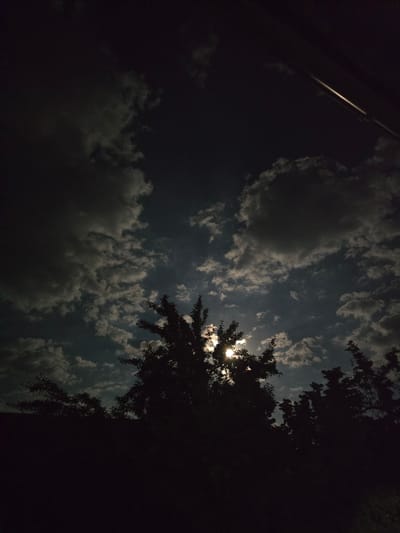 The image depicts a nighttime sky with a partially obscured moon, suggesting a cloudy or overcast condition. The moon's light filters through breaks in the clouds, creating a dappled illumination. Silhouetted trees and foliage occupy the lower portion of the frame, their dark forms contrasting with the lighter sky. A slender, bright object, possibly a utility pole or a thin beam of light, extends diagonally from the upper right corner towards the center of the image. The overall scene conveys a natural, outdoor environment under moonlight. No specific location in Moscovei, Moldova, can be identified from the image.
