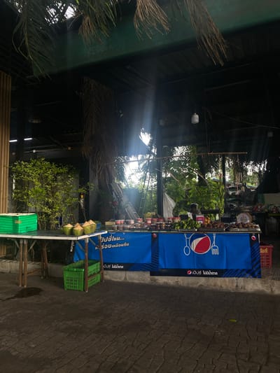 The image shows an outdoor area in Khok Kloi, Thailand. The scene includes a vendor stall with a blue Pepsi banner. A table displays goods for sale, including coconuts stacked on top of a green plastic crate. Palm leaves are suspended from the roof of the structure, creating a textured canopy. The surface underfoot is paved with a patterned stone. The overall impression is of a roadside vendor setting.