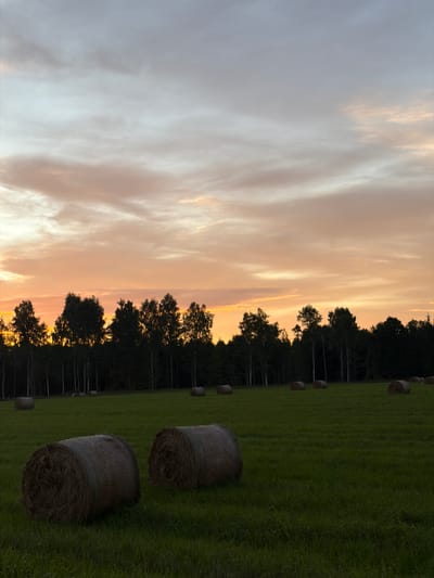 The image depicts a sunset scene in Usma, Latvia. In the foreground, two large, round hay bales rest on a lush green grassy field. Further in the background, a line of trees forms a dark silhouette against the horizon. Above the trees, the sky displays a gradient of colors, transitioning from pale orange and pink hues near the horizon to a lighter, diffused grey and white further up, indicative of twilight. The overall environment is rural and tranquil.