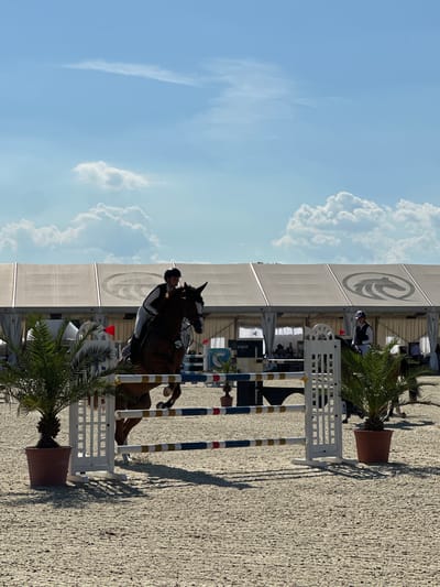This media file depicts a show jumping event in Olomouc, Czechia. The central subject is a horse and rider mid-jump over a white obstacle fence. The rider is wearing a dark helmet and a light-colored riding jacket with dark accents. The horse is a dark brown color. Behind the jump, a large, white tent structure is visible, bearing a prominent dark circular logo with a stylized animal silhouette. Various people are seen in the background, some seated under the tent.

The scene is set outdoors on a bright, sunny day, suggested by the clear blue sky with scattered white clouds and the strong shadows cast on the light-colored, gravelly ground. The presence of palm trees in terracotta pots adds to the outdoor arena atmosphere.

A notable detail is the presence of striped poles on the jump, alternating between white, blue, and yellow. Some text is visible on a white sign attached to the jump fence, reading "PUPP." The overall atmosphere appears to be one of athletic competition and outdoor entertainment. The time of day appears to be during daylight hours, likely afternoon, given the angle of the shadows.