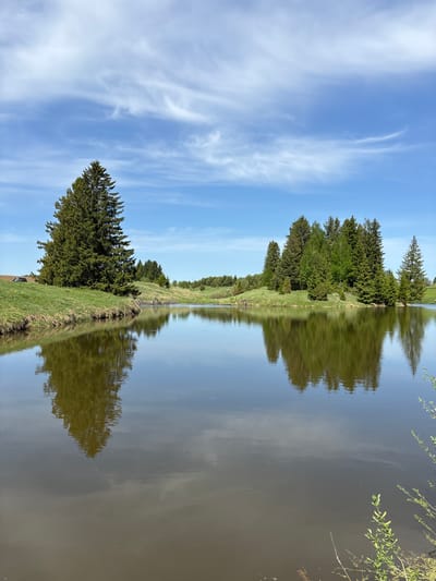 The image depicts a landscape, likely near water, with a mirrored effect. The scene appears to be centered on a narrow body of water reflecting the sky and vegetation. The left side of the image shows a blue sky with wispy white clouds. Below the sky is a grassy bank with trees lining the edge. The trees' reflections are visible in the water, creating a symmetrical composition. No people are visible in the image. The vegetation consists primarily of green grass and various types of trees. No specific structures or identifiable objects indicate a precise location in Karashur, Russia.