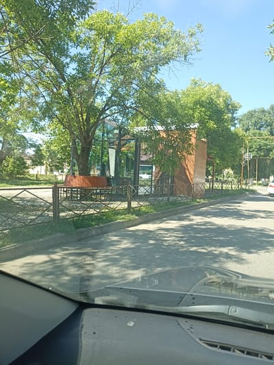 The image depicts a street scene in Izberbash, Russia, featuring a modern, glass-fronted building with a wooden exterior element. A large tree with lush green leaves partially obscures the building and the clear blue sky above. In front of the building, a curved wooden bench is visible, surrounding a tree trunk. A metal fence with a diamond pattern runs along the perimeter, separating the property from the paved street. The street is partially shaded by the trees, casting dappled shadows on the asphalt. The perspective is from inside a vehicle, as evidenced by the windshield and dashboard in the foreground. The scene appears to be peaceful and sunny, typical of a summer day.