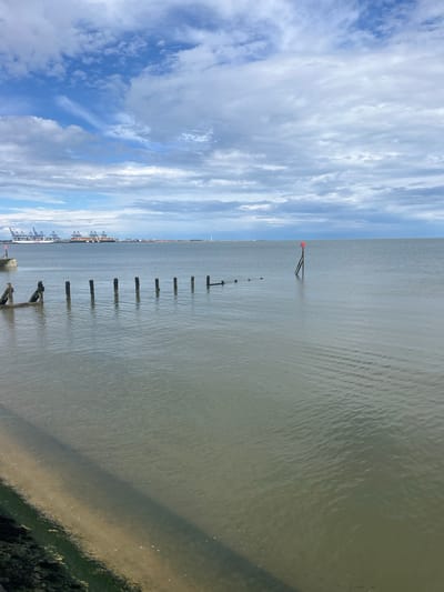The image depicts a wide expanse of calm water, likely the sea, under a cloudy sky. In the distance, a large port with numerous cranes is visible, suggesting an industrial or shipping hub. A line of weathered wooden posts emerges from the water, remnants of an old pier or breakwater. A red and white marker buoy stands further out in the sea. The foreground shows a sandy or muddy shoreline with some green vegetation. The overall impression is one of a coastal scene with a mixture of natural elements and industrial infrastructure. Based on the port in the distance, this scene is likely located in or near Harwich, United Kingdom, a town known for its significant port facilities.