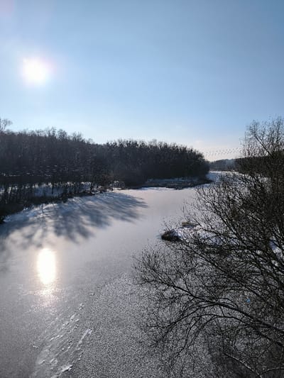 This image displays a winter landscape over a frozen body of water in Prybuzke, Ukraine. The water's surface is covered with ice, exhibiting a texture that varies from smooth and reflective, particularly where the sun glares in the lower left, to granular and lightly snow-dusted. Long, dark shadows of trees extend across the ice from the left bank. Both banks are densely forested with bare, leafless deciduous trees, and the ground along the shorelines is covered in snow. The sky is clear and light blue, with the sun prominently positioned in the upper left quadrant. In the upper right portion of the sky, a V-shaped formation of approximately 15-20 birds is in flight. No human subjects, man-made structures, or direct interactions are visible.