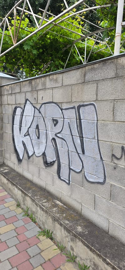 The image displays graffiti on a cinder block wall in Gori, Georgia. The graffiti, rendered in a grey spray paint with a black outline, appears to spell out "KORN." The wall is constructed of light grey cinder blocks and is weathered, with some dirt and grime visible. Above the wall, a white metal structure supports lush green vines, suggesting an outdoor environment, possibly a garden or a public space. The foreground shows a paved walkway with rectangular bricks in shades of red, yellow, and grey. Some weeds are growing along the base of the wall and between the bricks. The scene is static and depicts an urban or semi-urban setting.