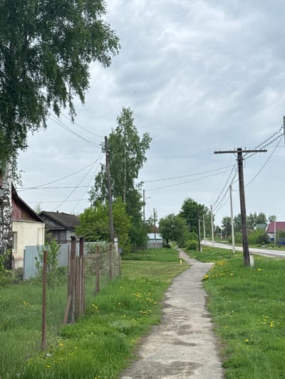 The image depicts a rural street scene in Ленино, Russia. A weathered dirt path runs between overgrown grassy areas filled with yellow flowers, likely dandelions. Utility poles with sagging lines are positioned along the path, hinting at older infrastructure. Fences, in varying states of repair, border the properties. Houses, some with aged wooden sections and others with more recent additions, are visible behind the fences. The sky is overcast. No people are visible.