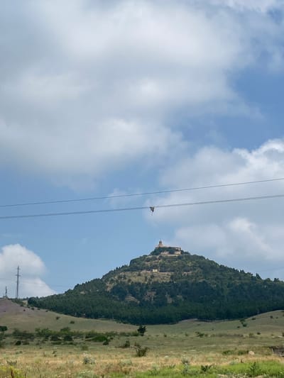 The image depicts a landscape view featuring a hill crowned with a structure, likely a monastery or ancient fortress, visible in the background. The hill is covered in dense green trees. In the foreground, there is a grassy field with some scattered vegetation. Power lines are stretched across the frame, with a bird perched on one of them. The sky is partly cloudy. The scene appears to be located in the outskirts of Akhaltsikhe, Georgia, a city known for its historic castle. There are no people or animals visible, except for the bird on the power line.
