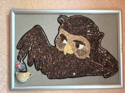 This is a detailed, forensic description of an image depicting a framed artwork.
**Artwork Description:**
The artwork is a framed representation of an owl, meticulously crafted from various organic materials. The owl's body and wings are primarily composed of whole, dark brown coffee beans, giving the impression of textured feathers. The facial features are rendered with lighter materials; the eyes have white and tan elements, possibly rice or small seeds, and the beak area uses yellowish grains, possibly wheat or corn. The outline of the owl is defined by a dark, thick cord, possibly jute or thick yarn.
Attached to the owl's wing on the left side is a small, delicate teacup and saucer, appearing to be made of ceramic and having a pearlescent, light brown glaze. Suspended from a white string above the teacup is a single tea bag. The tea bag's tag is red and bears the white lettering "TESS".
The artwork is mounted on a coarse, neutral-colored fabric backing, likely linen or burlap, which is then framed by a thin, brushed silver metal frame. The background wall behind the framed artwork has a textured, peach-colored finish.
**Location:**
The image was taken in Ветрынскі сельскі Савет, Belarus. The specific location is an interior space, likely a home or an office, as indicated by the wall texture and the framed artwork displayed on it.
**Forensic Analysis:**
* **Subject:** A framed artwork of an owl made of coffee beans, grains, and other organic materials, with accompanying tea-related items.
* **Objects:** Framed artwork, coffee beans, grains, teacup, saucer, tea bag, string, red tag with white lettering.
* **Materials:** Coffee beans, unspecified grains (likely rice, wheat, corn), jute/yarn cord, fabric backing (linen/burlap), metal frame, ceramic teacup, paper/fabric tea bag.
* **Environment:** Interior setting with textured peach-colored walls. The lighting appears to be ambient indoor lighting.
* **Actions:** No actions are depicted; the image is a still capture of a static object.
* **Interactions:** The teacup and tea bag appear to be integrated elements of the artwork, suggesting a deliberate artistic arrangement.
The overall impression is one of a rustic and creative piece of art, possibly intended to evoke themes related to morning routines or cozy beverages. The materials used suggest a handmade, artisanal quality. The presence of the "TESS" brand on the tea tag provides a specific detail about one of the incorporated objects.