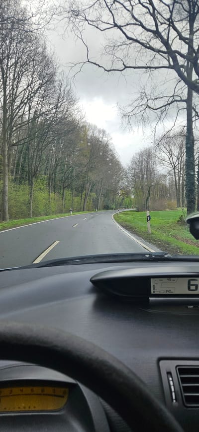 The image depicts a view from inside a vehicle, likely a car, driving along a wet, winding road lined with trees. The road is paved and marked with a broken yellow center line. On either side of the road, there are trees with bare branches, some showing the first signs of spring with new green foliage. The sky is overcast and grey. The dashboard and steering wheel of the car are visible in the foreground. The car's display shows the number "6" and additional data. The location is in Delbrück, Germany, as evidenced by the street signs along the road, typical of that area.