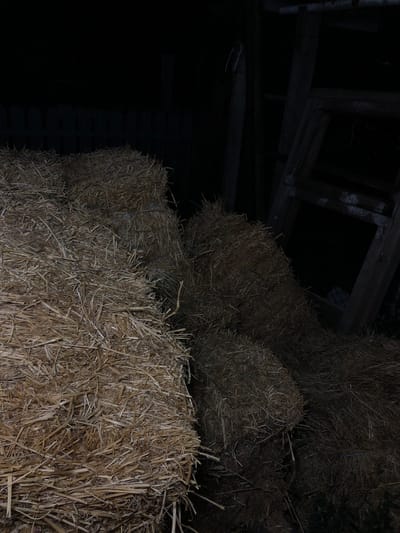 In the dark, a pile of hay bales is visible. The hay is dry and appears to be golden brown in color. The bales are stacked irregularly, with some appearing to be of different sizes and shapes. In the background, a wooden ladder is leaning against a dark, indistinct structure. A dark fence is also partially visible behind the hay bales. The scene is dimly lit, suggesting it is nighttime or the location is in a dark area. The specific location in Calfa, Moldova is not discernible from the image.