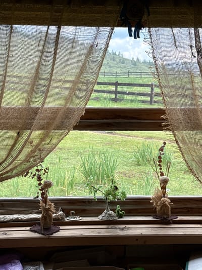 The image depicts a view through a wooden window onto a rural landscape. The window is partially obscured by burlap curtains, which hang loosely and have frayed edges. On the windowsill, there are three decorative items: a small, artificial tree with green beads, a small green cactus-like sculpture, and a dried floral arrangement in a burlap-wrapped vase. Behind these objects, the landscape consists of a grassy field with tall reeds, a wooden fence, and rolling hills covered in trees under a cloudy sky. The overall impression is rustic and natural, suggesting a peaceful setting in the countryside. The location is identified as Kazanovka, Russia.