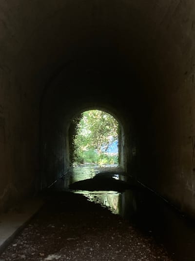 The media file is a photograph taken from inside a dark, circular tunnel, looking outwards. The tunnel appears to be constructed of concrete, with a rough, textured surface visible on the right side of the frame. Light streams in from the opening at the far end, illuminating a vibrant, leafy green canopy of trees and foliage. Sunlight filters through the leaves, creating a dappled effect. The ground inside the tunnel is dark and appears wet or damp, with reflections visible on its surface. There is a sense of depth and perspective as the tunnel recedes into darkness on the left. The overall impression is one of looking from a confined, shadowed space into a bright, natural environment. The location is Sant Quirze del Vallès, Spain, suggesting it might be a drainage culvert or an underpass. The time of day appears to be daylight, and the weather is likely clear or partly cloudy, given the sunlight. No people or specific objects are discernible within the tunnel or the scene beyond, besides the natural elements.
