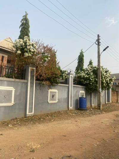 This image captures an outdoor scene in Odo Ona, Nigeria, depicting a residential property's perimeter wall and the adjacent dirt road under a clear, pale blue sky.
The prominent feature is a grey-painted wall, approximately 2.5 meters high, stretching across the middle ground. It is adorned with evenly spaced vertical pilasters and rectangular recessed panels, all outlined in a lighter grey or white. Above the wall, a dark metal fence topped with razor wire is visible.
Vegetation consists of several tall, slender green trees (likely Polyalthia longifolia) extending upwards, and dense masses of flowering shrubs with white blossoms spilling over and behind the wall on the left and right sides. Between these, a section of dried, brown, leafless shrubbery is present. Behind the wall on the far left, part of a building with a light-colored sloped roof is visible.
On the right side of the frame, a concrete utility pole stands, supporting multiple overhead electrical wires and an LED streetlight fixture pointed downwards. At the base of the wall, near the pole, a blue plastic barrel with drilled holes rests on what appears to be a discarded tire.
The foreground is dominated by a reddish-brown dirt road, showing uneven terrain and scattered debris. No individuals or animals are present. The scene is illuminated by natural daylight, indicating clear weather conditions.
