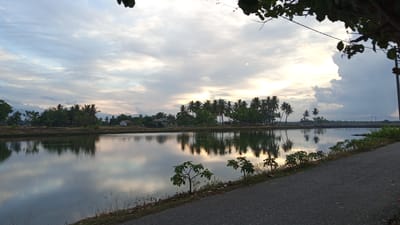 The image depicts a serene natural scene in Pasi ie Leubeue, Indonesia. A calm body of water dominates the foreground, reflecting the overcast sky and the lush greenery lining its banks. The opposite shore is dotted with coconut trees and a few houses, suggesting a rural or semi-rural environment. A paved path runs along the right side of the image, bordering the water. The sky is filled with dramatic clouds, with patches of sunlight breaking through, indicating either sunrise or sunset. The overall atmosphere is tranquil and picturesque.