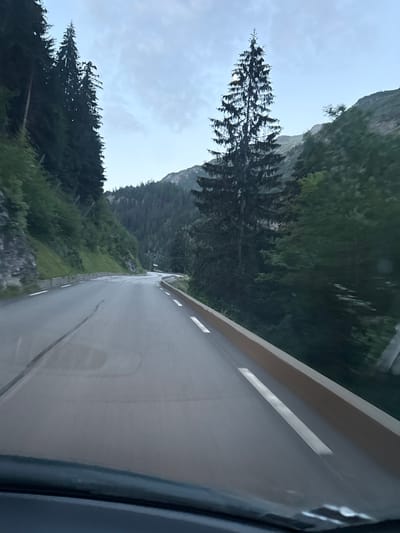 The image shows a winding road in a mountainous, forested area. The road is paved with a light gray surface and has white dashed lines marking the lanes. A wooden guardrail runs along the right side of the road. Tall, dark green coniferous trees line the slopes on either side of the road, with some sparse green grass visible on the left embankment. The sky is overcast with a pale blue-gray color. The perspective suggests the photo was taken from inside a vehicle traveling on the road. This scene is consistent with the mountainous terrain found in Sainte-Foy-Tarentaise, France, a commune known for its alpine landscapes and winding mountain roads.