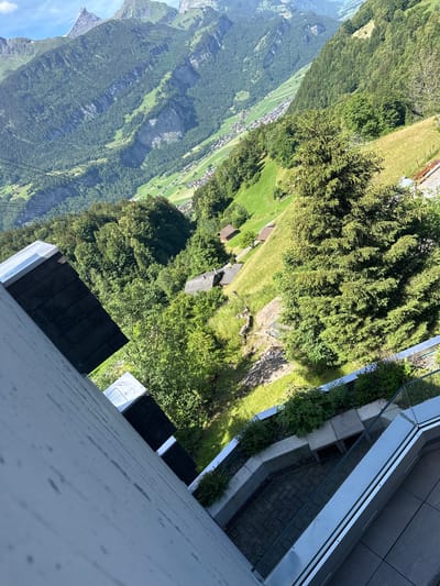 The image captures a panoramic view from a high vantage point in Hasliberg Reuti, Switzerland, looking down a steep, lush green mountainside. In the foreground, a modern building's exterior, possibly a balcony or rooftop, is visible with a white wall and dark, sloped roofing tiles. Beyond this structure, the landscape unfolds dramatically. The mountains are heavily forested with dense green trees, interspersed with patches of bright green grass. Small clusters of houses with dark roofs are scattered across the slopes, and a village can be seen nestled in the valley below, characterized by its winding roads and buildings. The distant mountains are majestic and jagged, with some peaks showing rocky, exposed surfaces and hints of snow. The sky is clear and blue. The overall scene depicts a serene alpine environment with human habitation integrated into the natural grandeur.