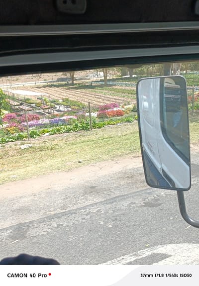 The image presents an external view from inside a vehicle, likely a truck due to the prominent side mirror on the right. The top portion of the frame shows the dark interior ceiling and visor area of the vehicle.
In the midground, a diverse horticultural operation is visible under clear daylight in Viwandani ward, Kenya. This area features multiple distinct, organized beds of cultivated plants. Towards the left, there are raised structures covered by white canopies, holding numerous potted plants, suggestive of a plant nursery. Adjacent to these, and extending across the midground, are sections of vibrantly colored flowers in bloom, exhibiting hues of pink, purple, yellow, and red, arranged in neat rows. Further into the background of the cultivated area, rows of green leafy crops, possibly vegetables, are also visible. A simple fence with wooden posts delineates parts of this agricultural land. Beyond the cultivated area, the background shows drier ground with scattered trees under a bright sky.
In the foreground, a gray, asphalt road surface, appearing worn with visible cracks and stains, runs horizontally across the lower part of the frame. To the left of the road, a strip of unkempt grassy verge separates the road from the cultivated land. On the right side of the image, the rectangular, black-framed side mirror of a white commercial truck is angled towards the viewer, reflecting part of the truck's white side panel. Text partially visible in the mirror's reflection includes "SAN PAULO" and "KENYA CARGO," suggesting the identity or origin of the vehicle reflected. No individuals are explicitly visible in the scene.