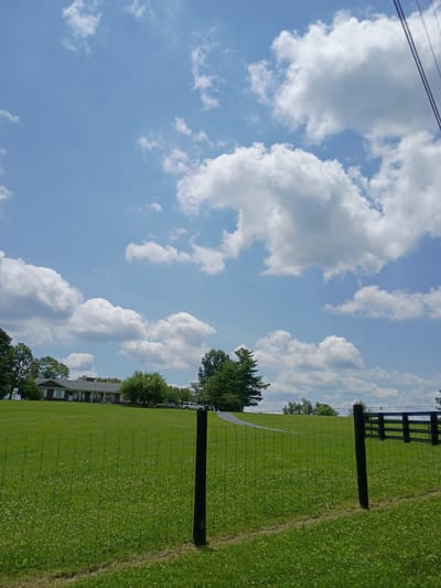 The image depicts a bright, sunny day with fluffy white clouds against a clear blue sky. A well-maintained green lawn dominates the foreground, bordered by a black wire fence with wooden posts. In the middle ground, a paved path winds through the grass, leading towards a brick building with white trim and windows, partially obscured by mature trees. A dark wooden fence with horizontal planks is visible in the far background, to the right of the frame. The overall scene suggests a tranquil, rural or suburban setting in Nicholasville, United States, likely during the daytime. No people or text are visible. The image is oriented vertically.
