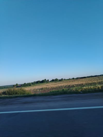 The image depicts a rural landscape. A clear blue sky dominates the upper portion of the frame. Below the sky, a field of harvested crops stretches towards a line of trees and foliage along the horizon. A road with a white lane marking cuts across the lower portion of the image, indicating movement. The location is unclear, there is no evidence to suggest that this is Mitino, Russia. The image lacks people.