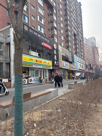 The image depicts an urban street scene in Dadong District, China, under an overcast sky. In the foreground, a large tree trunk, wrapped in green protective material, stands on the left. To its right, a paved median features multiple park benches with wooden slats and grey concrete bases, bordered by sparse, dry, brown vegetation consistent with a dormant season.

Immediately beyond the median is a concrete sidewalk fronting a row of commercial establishments at the base of tall, multi-story residential buildings. A prominent storefront on the left displays a yellow and green sign with "XTD 新天地" (XTD New World) and showcases air conditioning units and other merchandise outside. To its right are several other storefronts with Chinese signage, including "乐老大" (Le Laoda) and "Chababa" (茶爸爸), suggesting food or beverage businesses. The residential buildings above are constructed of reddish-brown brick with numerous windows and enclosed balconies.

Two individuals, appearing to be adults dressed in dark, heavy clothing, walk side-by-side on the sidewalk towards the right side of the frame. On the far left, a person on a white motor scooter or moped is partially visible, moving away from the viewer. Several motorcycles or scooters are parked along the sidewalk further down the street. In the background, additional multi-story buildings are visible, extending into the hazy distance under a grey sky.