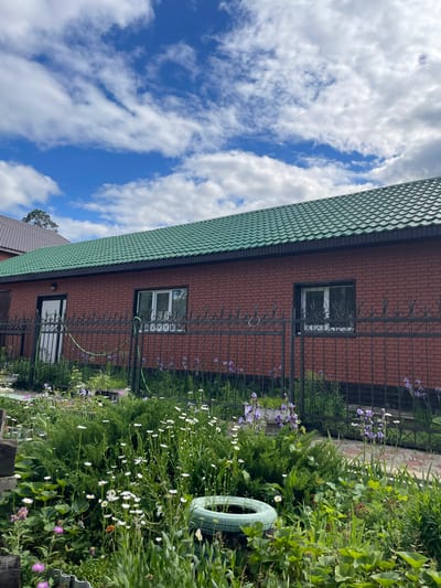 This image depicts a residential scene in Vasilevka, Russia, featuring a single-story brick building and a foreground garden under a partly cloudy sky.

The upper third of the image shows a vibrant blue sky with scattered white cumulus clouds of varying sizes and densities.

The central subject is a building constructed from reddish-brown bricks laid in a stretcher bond pattern. A darker, possibly black, foundation or trim runs along the base of the brickwork. The building is topped with a steeply pitched roof covered in dark green, corrugated metal tiles, with a dark fascia board visible beneath the eaves. On the left side of the building, a white-framed door with a dark upper panel and a visible exterior light fixture above it provides access. Two windows are present on the building's facade; the left window has a white frame and visible mullions, while the right window also has a white frame, multiple panes, and a dark decorative metal security grate affixed over it.

A black wrought-iron fence with intricate scrollwork and repeating 'X' patterns runs horizontally across the midground, separating the building from the foreground garden. A green garden hose is draped over this fence near the door.

The lower half of the image is occupied by a lush, green garden containing a diverse array of plants and flowers. Prominently featured are numerous white daisies with yellow centers, tall stalks of purple iris-like flowers, and clusters of smaller pink/purple flowers. Large-leafed plants, possibly strawberries, are visible throughout the foliage. A light green, possibly teal-colored, car tire is partially buried in the ground in the lower-middle foreground, serving as a planter. Behind the fence on the right, a segment of a reddish-brown brick pathway or patio is visible.

In the upper-left background, a portion of another building with a dark brown or grey tiled roof is visible, along with the canopy of a dark green tree extending into the sky. No people, discernible actions, or direct interactions are visible within the frame.