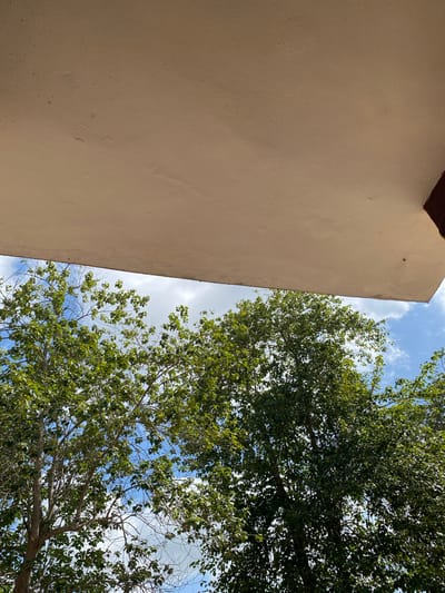 The image shows a low-angle view of a beige building, with trees and a blue sky with scattered clouds visible on the right side. The building occupies approximately half the frame on the left. The foliage of the trees is dense and green. The image suggests an outdoor setting. The location, Sabo, Nigeria, is not discernable from the image itself.