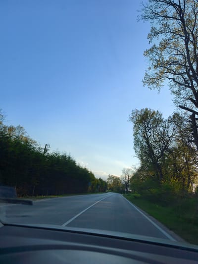 The image captures a view from inside a vehicle driving on a road in Zdravets, Bulgaria. The road is asphalt with a white dividing line. Green trees line both sides of the road, transitioning into a dense forest on the left. The sky is a clear gradient of blue. A portion of the car's dashboard is visible in the foreground.