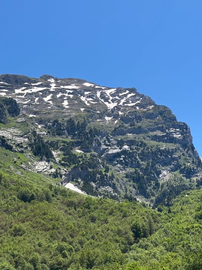 The image depicts a steep, rocky mountain slope under a clear, brilliant blue sky. The location is the city of Unknown, Montenegro. The upper third of the frame is dominated by the cloudless, uniform blue sky, with a small, indistinct, dark object visible in the upper right quadrant, possibly an avian or aerial entity. The mountain itself comprises three distinct visual zones. The uppermost section of the mountain is rugged, characterized by grey and tan rock faces interspersed with significant, irregular patches of bright white snow, indicating residual snowpack. Below this, the mid-section transitions into a mix of exposed rock, scree, and scattered clusters of dark green coniferous trees. Steep rock formations and gullies are visible here, with sparse green vegetation clinging to the less precipitous areas. The lowest visible section of the mountain is densely covered by a vibrant, light green deciduous forest, suggesting lush growth. No people, animals (other than the potential aerial object), man-made structures, or specific actions are discernible within the frame. The lighting is bright and even, indicative of direct sunlight.
