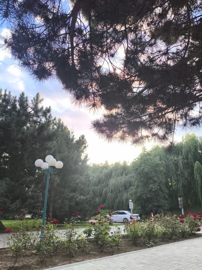 The image depicts a park setting in Bayet, Kyrgyzstan. The foreground is dominated by a pathway made of light-colored, rectangular paving stones. Adjacent to the pathway is a flower bed filled with numerous rose bushes, many of which are adorned with vibrant red roses. A turquoise lamppost with five spherical white lights stands near the center of the frame. In the background, a variety of trees create a dense green backdrop, including what appear to be evergreen trees and weeping willows. A white sedan is parked on a paved road that runs behind the flower bed and trees. The sky above is a mix of blue with scattered clouds, and sunlight filters through the branches of a large, dark-leaved tree that partially obscures the upper portion of the image.