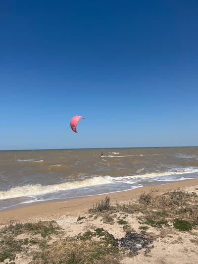 A bright pink kite is suspended in a clear blue sky above a choppy, light brown ocean. The kite is a crescent shape with black lettering. A kitesurfer, a dark silhouette, is visible in the water below the kite. The ocean meets a sandy beach in the foreground. The beach is lined with dry, sparse vegetation and shells. The scene depicts a bright, sunny day with a moderate breeze, suitable for water sports. The location is identified as Dolzhanskaya, Russia.