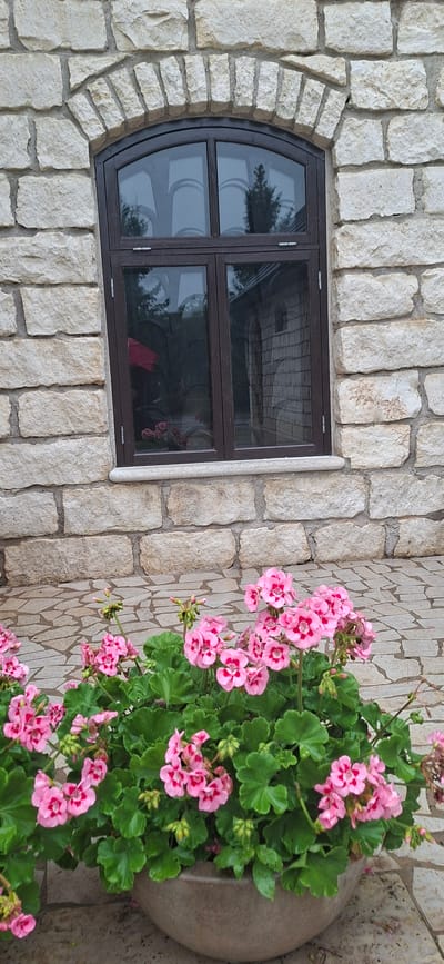The image shows a close-up view of a stone building with a dark-framed, arched window. In the foreground, a pot of pink geraniums with green leaves is visible. The building is constructed of light-colored, rough-hewn stone blocks. The window is divided into four panes, with a dark wooden frame. Reflections of trees and part of another building are visible in the window glass. The ground in front of the building is paved with irregular-shaped stones. The scene appears to be an exterior shot, possibly in a garden or courtyard. The location is Kaali, Estonia.
