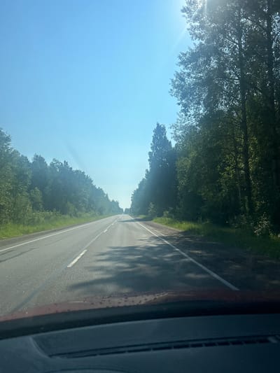An eye-level, wide-angle shot captures a road winding through a dense forest under a clear blue sky. The sun, high and bright, glints off the upper left portion of the frame. The asphalt road, with a white dashed line dividing the lanes, stretches into the distance. Lush green trees line both sides of the road, their branches forming a canopy that casts dappled shadows on the pavement. The foreground shows the interior of a vehicle, including the dashboard and a hint of the windshield. The scene suggests a drive through a natural, possibly rural, area.