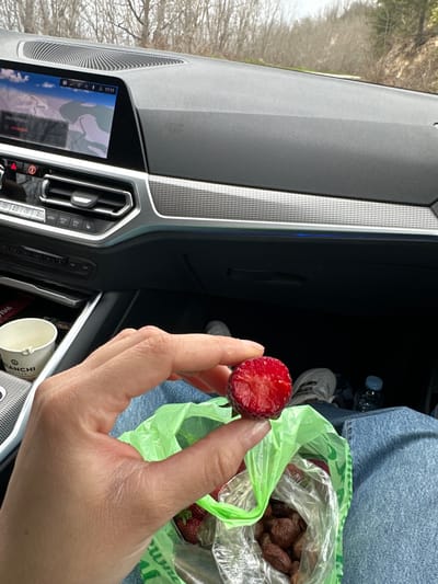 A human hand holds a halved strawberry over a green plastic bag containing strawberries and pitted dates, inside the passenger side of a car. The car's dashboard, central console, and infotainment screen are visible. The driver is wearing denim. There is a cup in the center console. The environment is visible through the windshield, appearing to be a wooded area or road. Location cannot be confirmed as Kozarka, Bulgaria from this image.