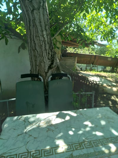 This image captures an outdoor scene, likely a garden or patio, under bright natural light. The prominent subject is a large tree trunk with deeply textured, light-colored bark, which extends horizontally across the left side of the frame (when viewed correctly, as the original image is rotated).
To the right of the tree trunk, two green outdoor chairs are visible, each featuring dark-colored armrests or handles. Further to the right, a rectangular table with a light surface occupies a significant portion of the image. The tabletop is adorned with a pattern resembling golden marble veins and a decorative Greek key border along one edge.
The scene is surrounded by lush green foliage and tree branches, with sunlight filtering through the leaves, casting distinct, dappled shadows onto the table and the ground below. This suggests a sunny day, likely midday or early afternoon. In the blurred background, various structures, possibly wooden fences or other garden elements, are faintly visible amidst more greenery.
There are no people present, and no specific activity is taking place, presenting a peaceful and static view of an outdoor seating area. The overall setting is natural and verdant. No visible text is present in the image.