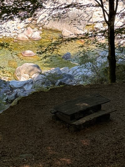 The image depicts a rustic wooden picnic table and benches situated on a ground covered with brown leaves, adjacent to a clear, shallow river flowing over smooth, grey and tan rocks. Overhead, the dappled sunlight filters through the branches of a tree, casting shadows on the scene. The river itself is characterized by its crystalline water, allowing the riverbed and submerged rocks to be visible. The background features larger boulders and lush vegetation, hinting at a natural, forested environment. The picnic table appears weathered, suggesting it has been exposed to the elements for some time. The overall atmosphere is tranquil and natural, typical of an outdoor recreational area in a mountainous or woodland setting. The location is identified as being in the city of Verzasca, Switzerland, a region known for its scenic beauty and clear rivers.
