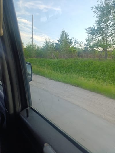 This media file depicts a view from inside a vehicle looking out the passenger-side window. The scene is a rural landscape under a partly cloudy sky, suggesting it's either early morning or late afternoon. The weather appears clear and temperate.

The foreground shows the interior of the car, specifically the door panel and window frame, rendered in dark, matte tones. A side-view mirror is visible, reflecting the passing scenery, which includes a dirt road and a lush green field.

Beyond the car's interior, the landscape unfolds with a vibrant expanse of green grass and foliage, possibly agricultural fields or wild meadows. In the distance, various trees, including some taller, more mature ones and sparser younger growth, form a natural boundary. A single, tall utility pole with visible wires stands prominently against the sky, indicating the presence of infrastructure within this otherwise natural setting. The sky itself is a pale blue, streaked with wispy white clouds, bathed in soft, natural light.

The image conveys a sense of travel and observation of the passing scenery. There is no text visible in the image. The overall mood is tranquil and evokes the feeling of a quiet journey through the countryside of Ust-Pyora, Russia.