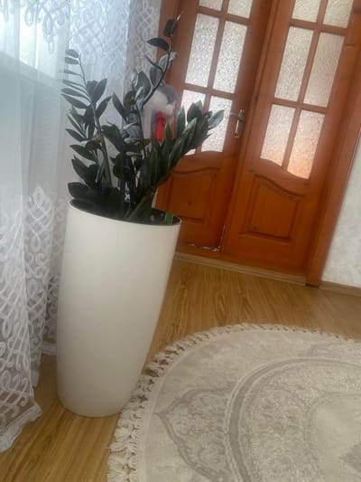 This media file shows an indoor scene, likely a home interior in Ispas, Ukraine. The main subjects are a tall, white planter holding a dark-leaved plant, a wooden door with frosted glass panels, and a portion of a circular rug with fringe. The setting appears to be near an entrance or a window, with sheer white curtains in the foreground.
The wooden door is a prominent feature, with its warm, reddish-brown tones and decorative detailing. The frosted glass panels are segmented by the wood, allowing diffused light to pass through, suggesting it might be daytime. The plant in the white planter has glossy, dark green leaves and appears to be a ZZ plant. The planter is modern and sleek, contrasting with the traditional style of the door.
To the right of the planter, a circular rug with an intricate pattern and a fringed edge is visible. The rug is light-colored, likely cream or off-white, and its texture suggests it's made of soft material. The floor is wooden, with visible grain patterns.
In the background, behind the plant, a glimpse of a stuffed toy with red and grey elements can be seen, adding a personal touch to the domestic setting. The overall impression is one of a calmly decorated living space. There is no visible text in the image. The lighting suggests an indoor environment, possibly with natural light coming from a window or the door.