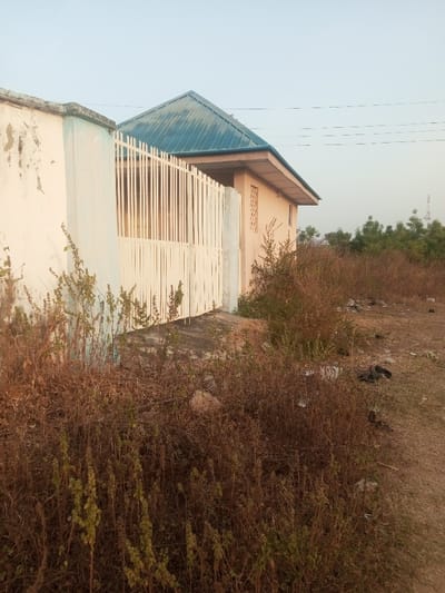 The scene depicts an exterior view of a residential or commercial building in Okeni, Nigeria, viewed from ground level. In the foreground, dry, overgrown vegetation, primarily brown and desiccated, dominates the lower half of the frame, with some greener growth interspersed. To the right, a bare dirt path or unpaved area is visible, containing scattered dark debris, possibly plastic bags.
The main structure, positioned slightly off-center to the right, features light peach-colored exterior walls and a distinct teal or blue-green corrugated metal roof with an overhang. A small, rectangular vent or cutout is visible on one side of the building. Adjacent to the building on the left is a pale, off-white concrete wall exhibiting some staining and weathering. A section of a light-colored vertical slatted metal fence or gate extends from this wall towards the building, appearing partially recessed. A concrete slab forms an entrance pad behind this fence section.
The sky above is a pale, clear blue. In the distant background, to the right of the building, a cluster of green trees is visible, along with a metallic lattice-structured communications tower. Faint horizontal lines, consistent with overhead power lines, traverse the sky in the upper-middle portion of the image. No individuals or active interactions are present in the scene.