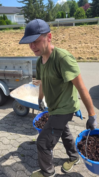 A man wearing a dark blue baseball cap, a green t-shirt, dark grey cargo pants, grey work gloves, and green athletic shoes is carrying two blue buckets filled with dark brown mulch. He is walking on a paved surface composed of grey interlocking stones. To his left, a blue wheelbarrow with a white basin is positioned on the paved surface. Behind the wheelbarrow, a light grey utility trailer is visible. The background shows a dry, grassy slope with scattered trees and a white building with a dark roof. The scene is illuminated by sunlight, casting shadows on the ground. The location is identified as Albstadt, Germany.
