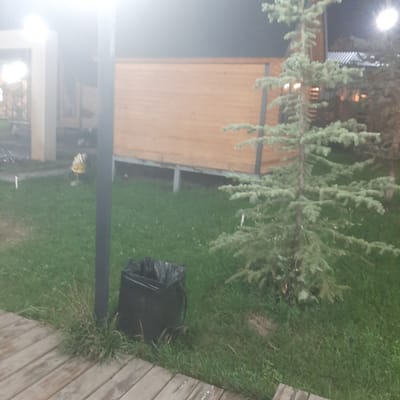 In Sosnovka, Kyrgyzstan, a dark trash can with a plastic liner is situated on a patch of green grass next to a vertical black pole. In the background, a wooden structure with horizontal planks is visible, and a young evergreen tree stands to the right of the frame. The foreground features a wooden walkway made of planks. The lighting suggests it is nighttime, with a bright light source illuminating the scene from the upper left.