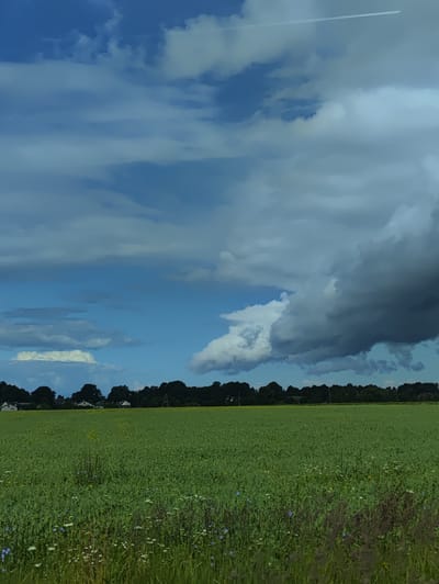 The image shows a wide, vibrant green field under a dramatic sky. The field is lush with vegetation, dotted with small wildflowers of various colors, including white, blue, and yellow. In the background, a dense line of dark green trees forms a horizontal barrier across the horizon. Beyond the trees, several houses with white or light-colored roofs are visible, suggesting a rural or suburban setting. The sky is a dynamic mix of bright blue patches and large, dark, imposing clouds, with a thin white contrail from an aircraft streaking across the upper portion of the frame. The overall impression is one of a beautiful, expansive natural landscape with signs of human habitation on the edge. This scene could be located on the outskirts of the city of Ainaži, Latvia, given its characteristic coastal plains and agricultural landscapes.