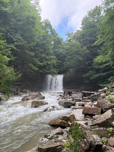 A lush, green forest frames a powerful waterfall in Kinchkhaperdi, Georgia. The water cascades down a rocky cliff face into a turbulent river below. The river is filled with large, smooth rocks, some of which are partially submerged in the churning water. The banks of the river are also strewn with rocks and fallen trees, adding to the wild, natural beauty of the scene. The trees are dense and abundant, their leaves a vibrant green, suggesting a healthy and thriving ecosystem. The sky above is a mix of white clouds and patches of blue, indicating a partly cloudy day.