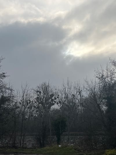 Overcast sky with sunlight trying to penetrate heavy clouds. Bare trees with clusters of mistletoe punctuate the right side of the frame. A hint of green vegetation is present at the bottom right corner, suggesting a roadside or field. The overall scene evokes a sense of winter or early spring.