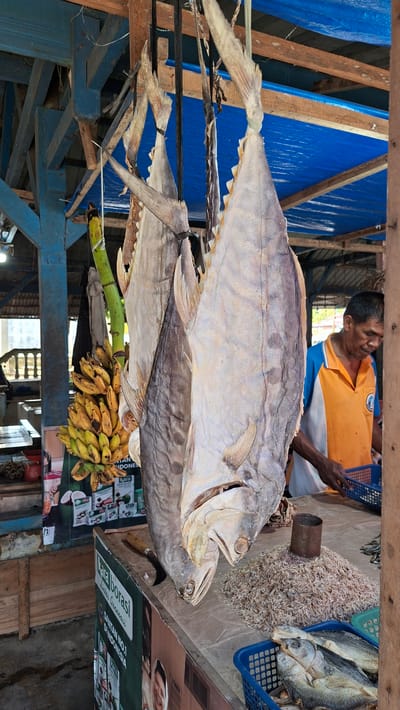 The image depicts a fish market stall in Dayahbaro, Indonesia. In the foreground, two large dried fish hang from a wooden structure, their bodies pale and textured. To the left, a bunch of ripe bananas hangs next to the fish. A man wearing an orange and blue polo shirt stands behind a counter, looking down. The counter is covered with a brown paper and displays a pile of small dried shrimp, a tin can, and a blue basket filled with more dried fish. A portion of a sign with green and white text and images is visible on the side of the counter. The background shows a blue tarp stretched over a wooden framework, suggesting an open-air or semi-covered market. The overall scene is a snapshot of a local market, highlighting the sale of dried fish and other food items.