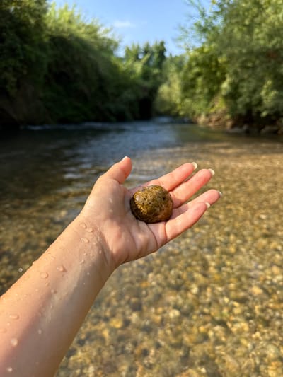A close-up of a human hand holding a small, round, brown and green rock. The hand is wet, with visible water droplets on the skin. The background shows a shallow, clear river with a pebble-filled riverbed and lush green trees lining the banks. The sky above is a clear blue. The scene appears to be a natural outdoor environment, likely a riverbank in a rural area. The presence of the rock and water suggests a natural setting.